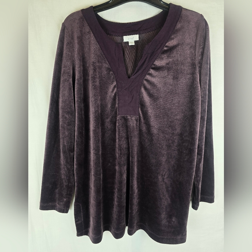 Pure Jill Women's Purple Long Sleeve Velvet Vneck Shirt Sz M